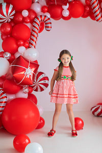Vintage Holly Berry Dress