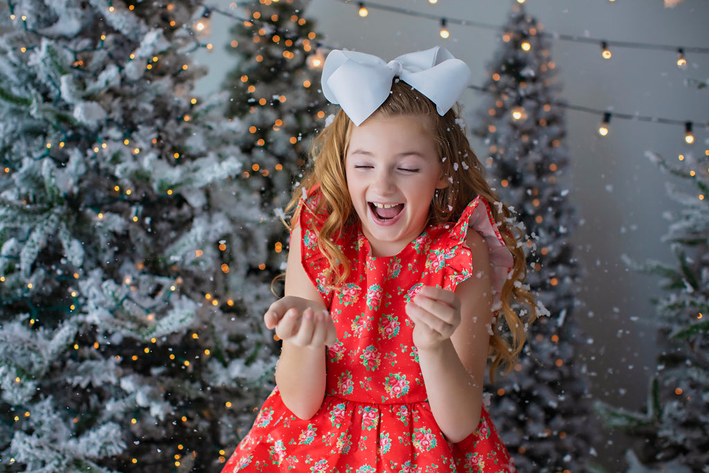Holly Party Dress (4367874916487)